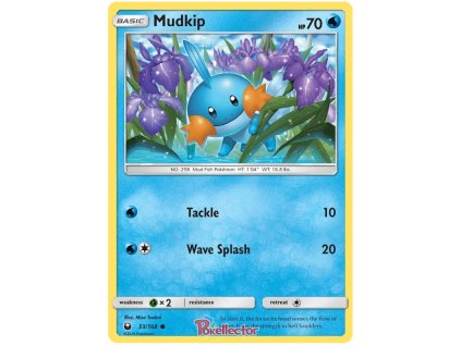C033Mudkip.CES.33.22644