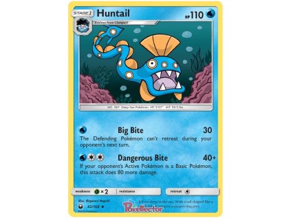 C042Huntail.CES.42.22653