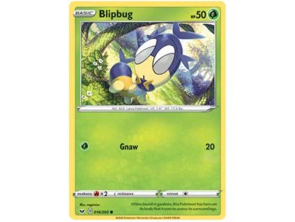 C016Blipbug.SH01.16.31439