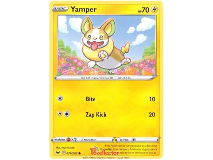 C074Yamper.SH01.74.31489