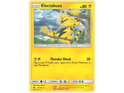 C071Electabuzz.LOT.71.24652