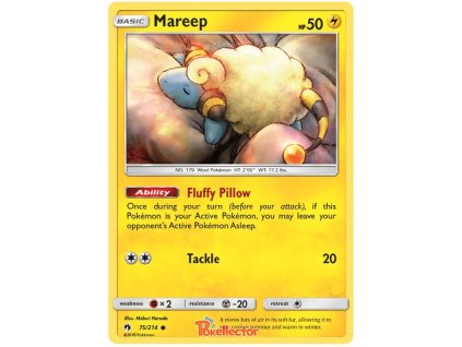 C075Mareep.LOT.75.24656