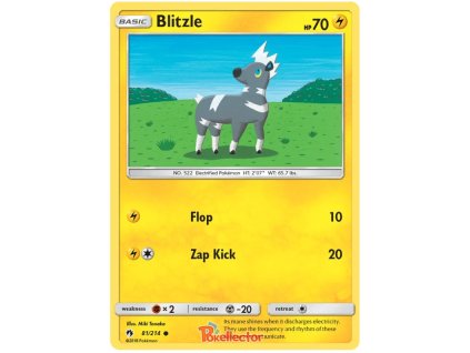 C081Blitzle.LOT.81.24662