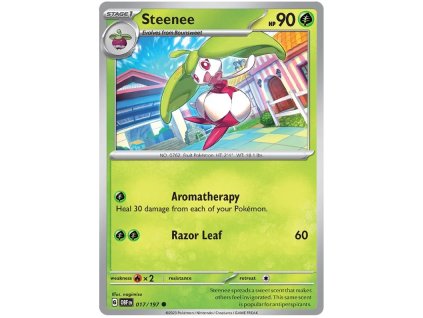 C017Steenee.OBF.17.48837