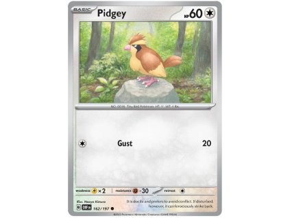 C162Pidgey.OBF.162.48963