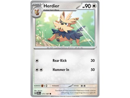 C171Herdier.OBF.171.48971