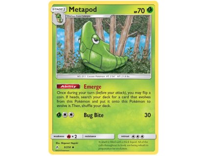 C003Metapod.UNB.3.28110