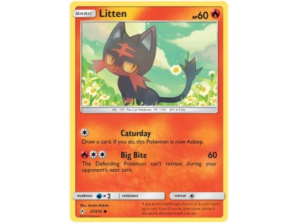 C027Litten.UNB.27.28132