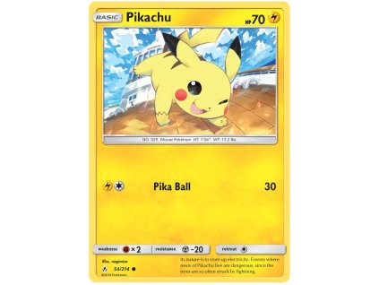 C054Pikachu.UNB.54.28158
