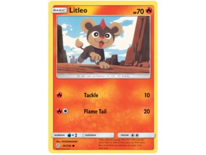C036Litleo.CEC.36.30756