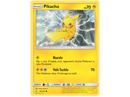 C066Pikachu.CEC.66.30785
