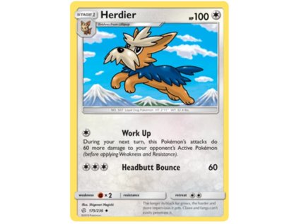 C175Herdier.CEC.175.30888