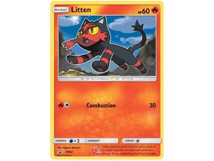 002Litten.SM.2.13440
