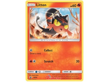 008Litten.SM.8.13916