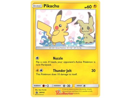 162Pikachu.SM.162.25572
