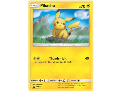 183Pikachu.SM.183.27207