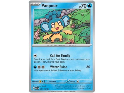 C041Panpour.PAR.41.50329