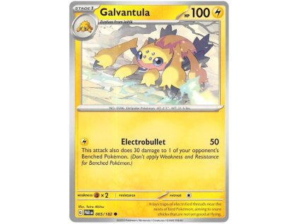 C065Galvantula.PAR.65.50352