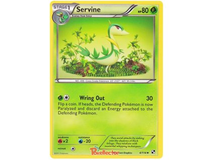 C0004Servine.BLW.4
