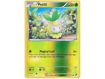 C009Petilil.BLW.9