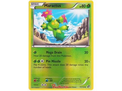 C011Maractus.BLW.11