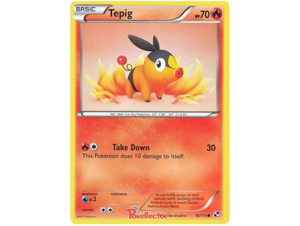 C016Tepig.BLW.16