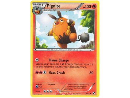C017Pignite.BLW.17