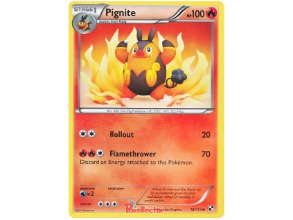 C018Pignite.BLW.18
