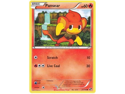 C021Pansear.BLW.21