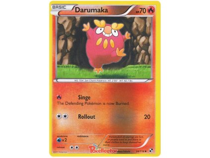 C024Darumaka.BLW.24