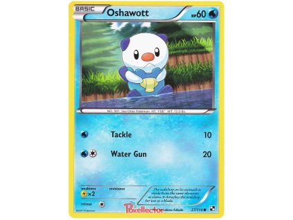 C027Oshawott.BLW.27
