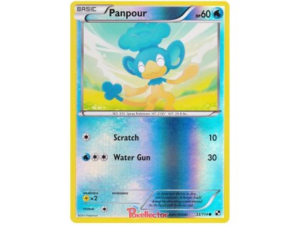 C033Panpour.BLW.33