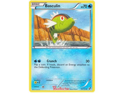C035Basculin.BLW.35