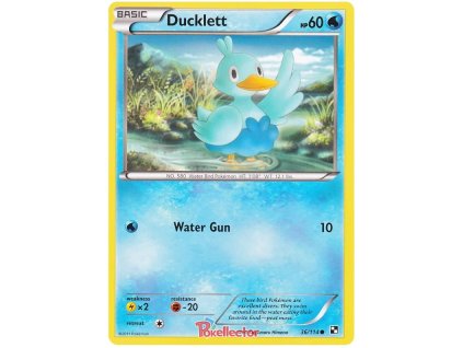 C036Ducklett.BLW.36