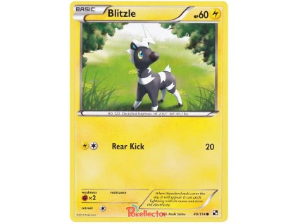 C040Blitzle.BLW.40