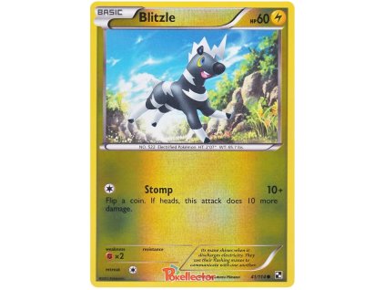 C041Blitzle.BLW.41