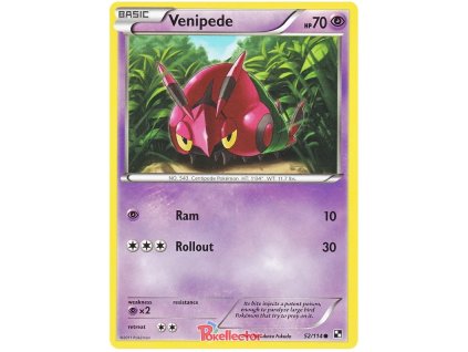 C052Venipede.BLW.52