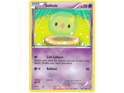 C055Solosis.BLW.55
