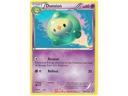 C056Duosion.BLW.56