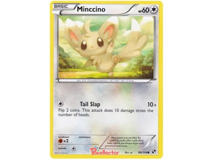 C088Minccino.BLW.88