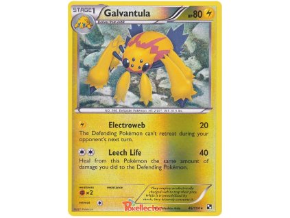 R046Galvantula.BLW.46