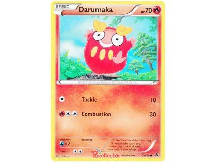 C020Darumaka.EPO.20