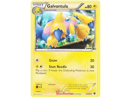 C034Galvantula.EPO.34