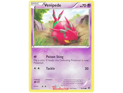 C038Venipede.EPO.38