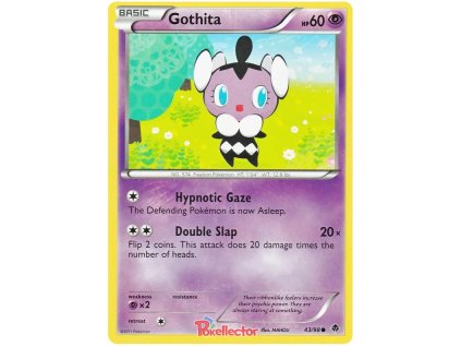 C043Gothita.EPO.43
