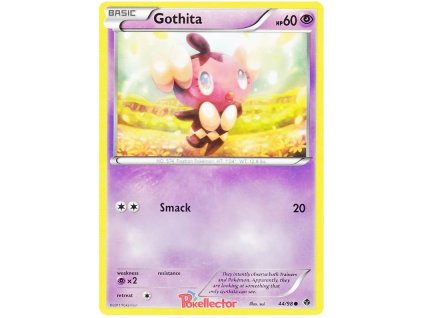 C044Gothita.EPO.44