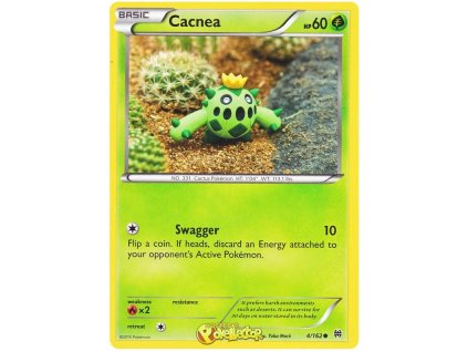 C004Cacnea.XBT.4