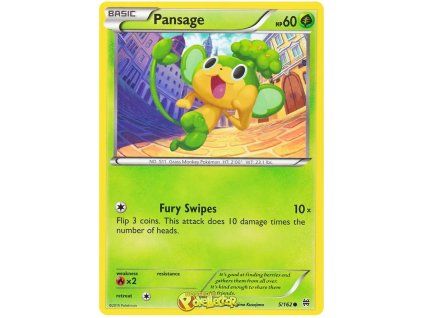 C005Pansage.BKT.5