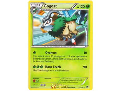 C017Gogoat.BKT.17