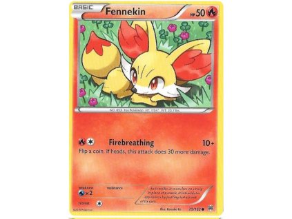 C025Fennekin.XBT.25